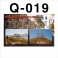 Q-019